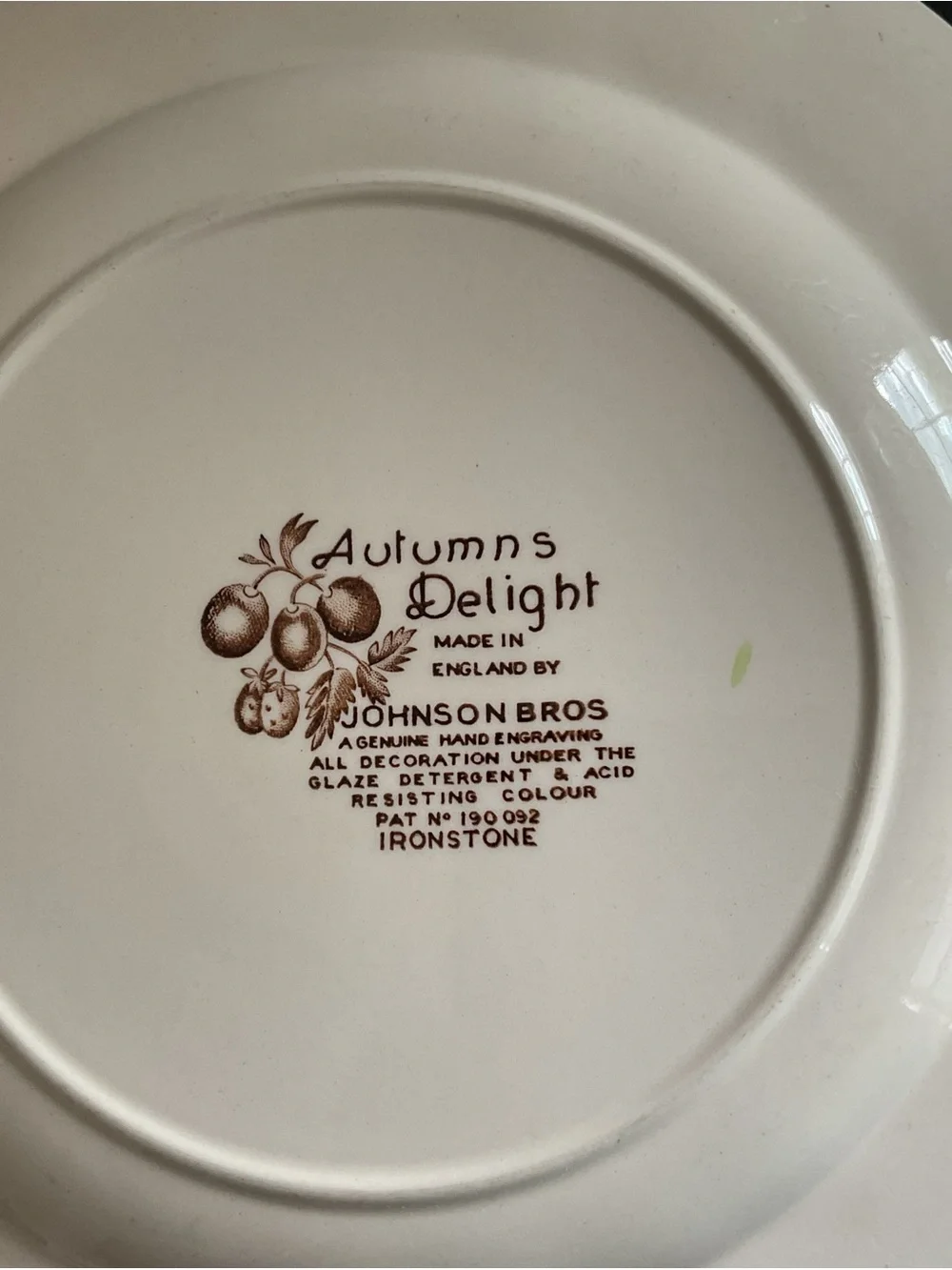 Vintage 	1960s/1970s Johnson Bros Autumns Delight Dinner Plates Set of 2
